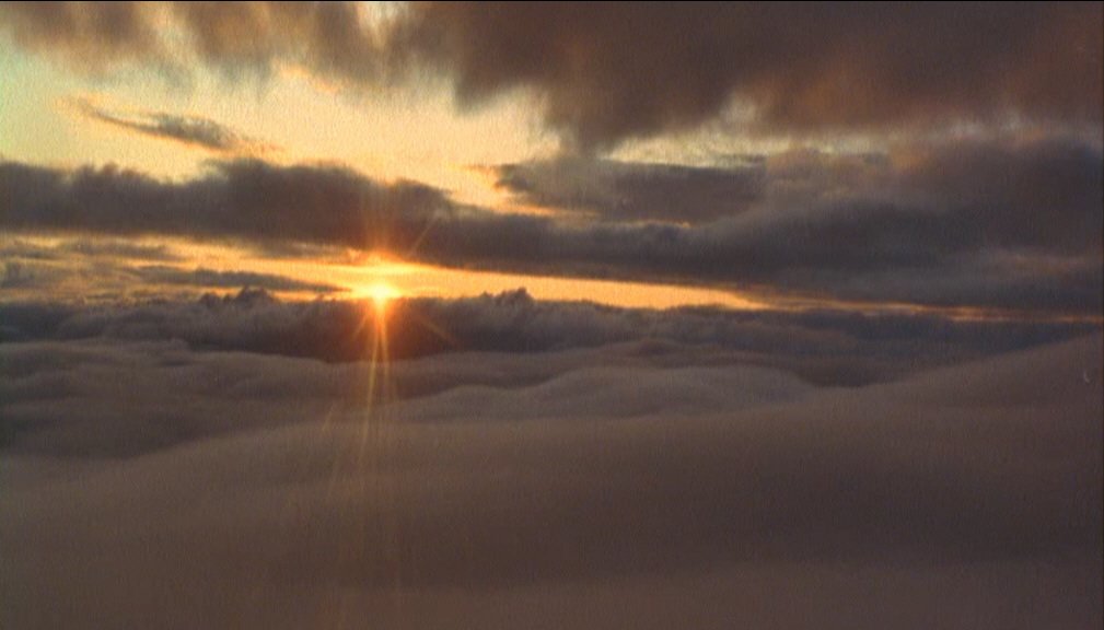 Cinegent tweet media