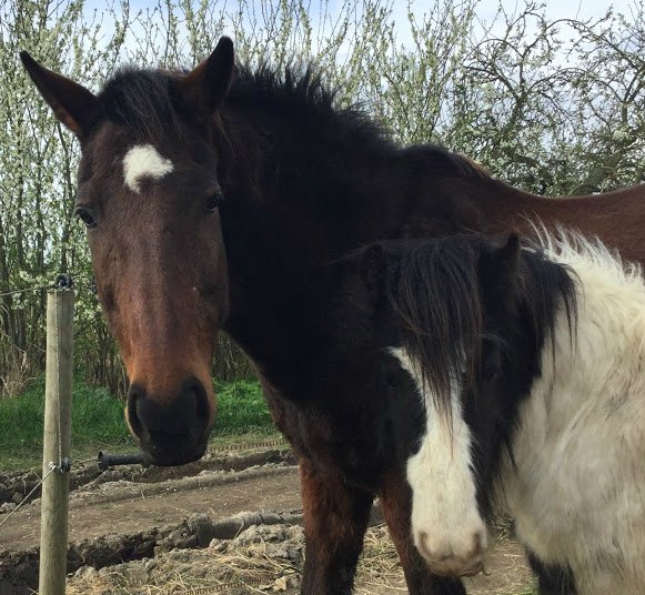 Good Morning Monday 

" you watch yourself about complaining, Sister. What you’re supposed to do when you don’t like a thing is change it. If you can’t change it, change the way you think about it. Don’t complain.”

#quote Maya Angelou
#MondayMotivation

( #MondayMemory photo)