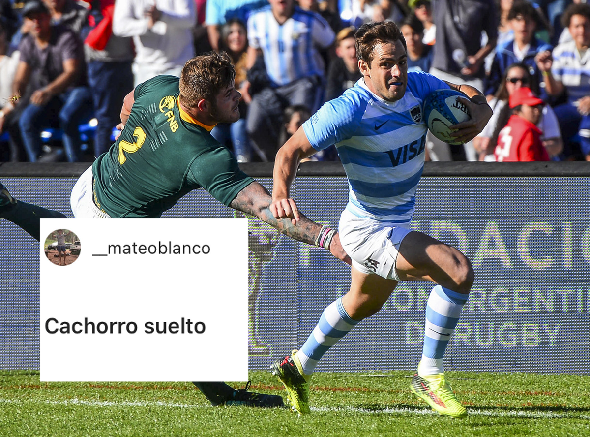 ScrumESPN's tweet photo. ¡Hay un cachorro suelto y nadie de los @Springboks lo puede atrapar! @_mateoblanco (#Instagram) y un muy lindo título para la corrida de @NicoFSanchez ante #Sudáfrica en 2018. 📸🇦🇷🇿🇦
#SeParteDeScrum https://t.co/kUcAlLbMyY
