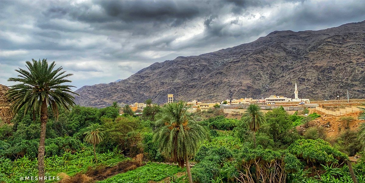 meshrefs's tweet photo. الجزء الخامس
#الباحة #ذي_عين https://t.co/glyBzNgcfs