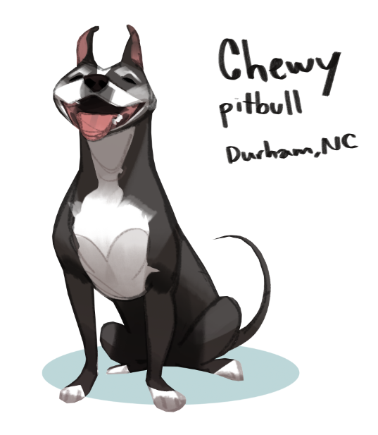 Doggust thread! For  #Doggust I'm gonna try spotlighting adoptable dogs of the breeds! This is Chewy and he's adoptable  #pitbull in Durham NC (with  @CAB_Rescue!)   https://www.petfinder.com/dog/chewy-47336371/nc/durham/carolina-adopt-a-bulls-nc975/