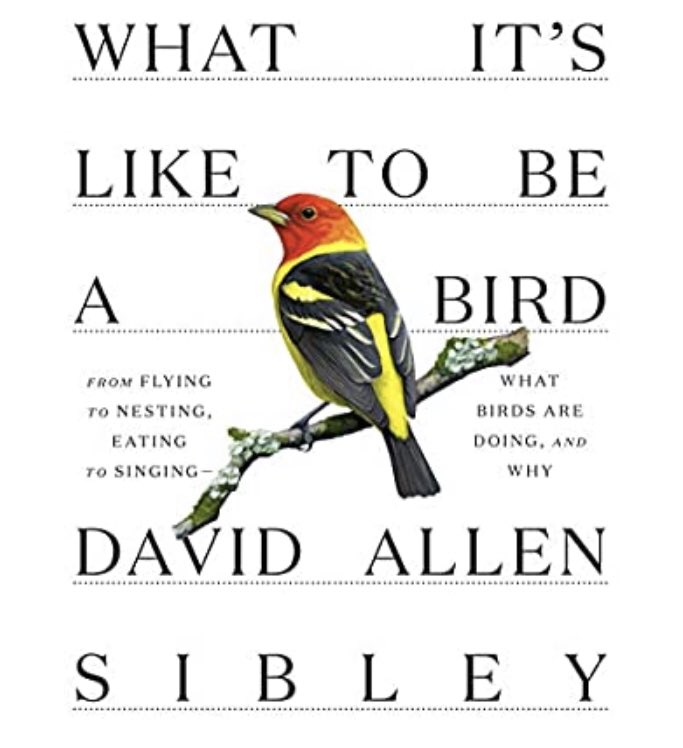 WorldIsWritten's tweet photo. The bird book that will excite and inspire by providing a new deeper understanding of what common birds are doing.
#davidallensibley #whatitsliketobeabird #birds #bookswithbirdie #popsugarbooks #oursharedshelf #betweentwobooks #hellosunshinebookclub #oprahsbookclub #belletrist https://t.co/pGadzKkj9t