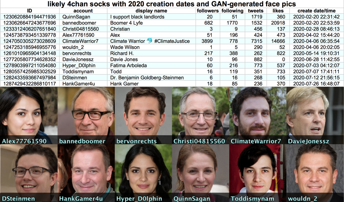 We found twelve accounts with 2020 creation dates and GAN-generated facial features that look like possible 4chan troll accounts based on their selection of content and narratives.