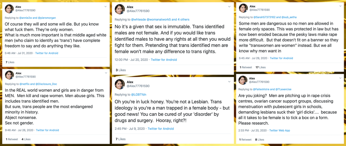 Anti-trans content is another recurring theme of the suspected 4chan troll accounts with GAN-generated faces, and  @Alex77761590 is a shining example.