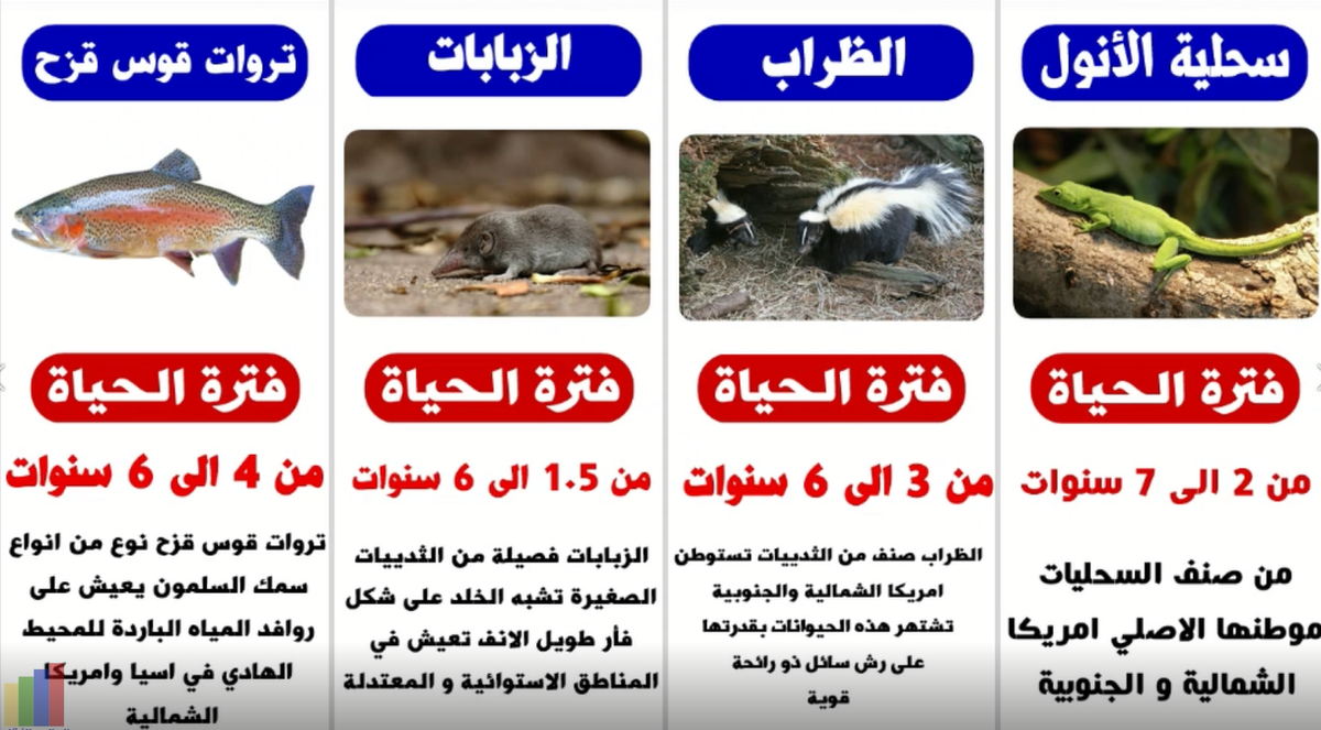 تعرف على أطول الحيوانات عمرًا, أكثر الحيوانات المعمرة وكم هي اعمارها؟
                                              youtu.be/JyiH-IrIb-I