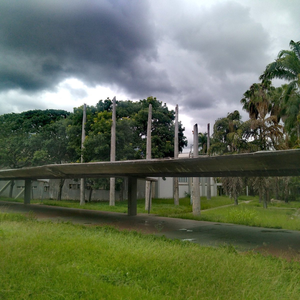 Viva la UCV tweet media