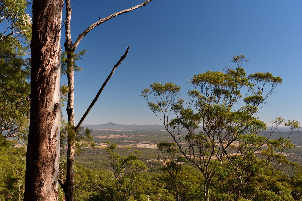 #scape366.com 216 - #flinderspeak and its surrounding #hills, visible from amongst the #gums at the #knollpicnicarea on #tamborinemountain. This elevated spot in the #scenicrim providing #views over #tamborine and the #tamborinenationalpark below #viewscape