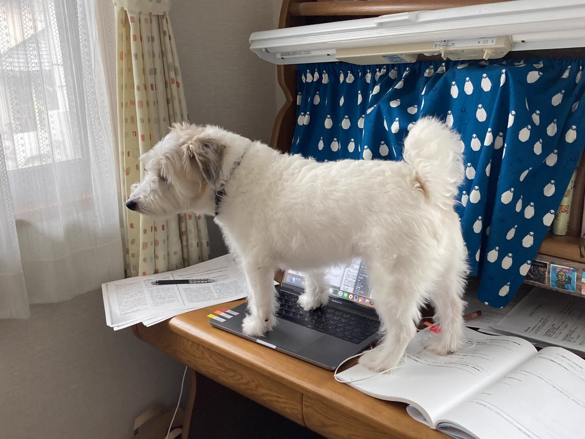 少し部屋を空けていたら…犬がレポートを書いてくれていたwww