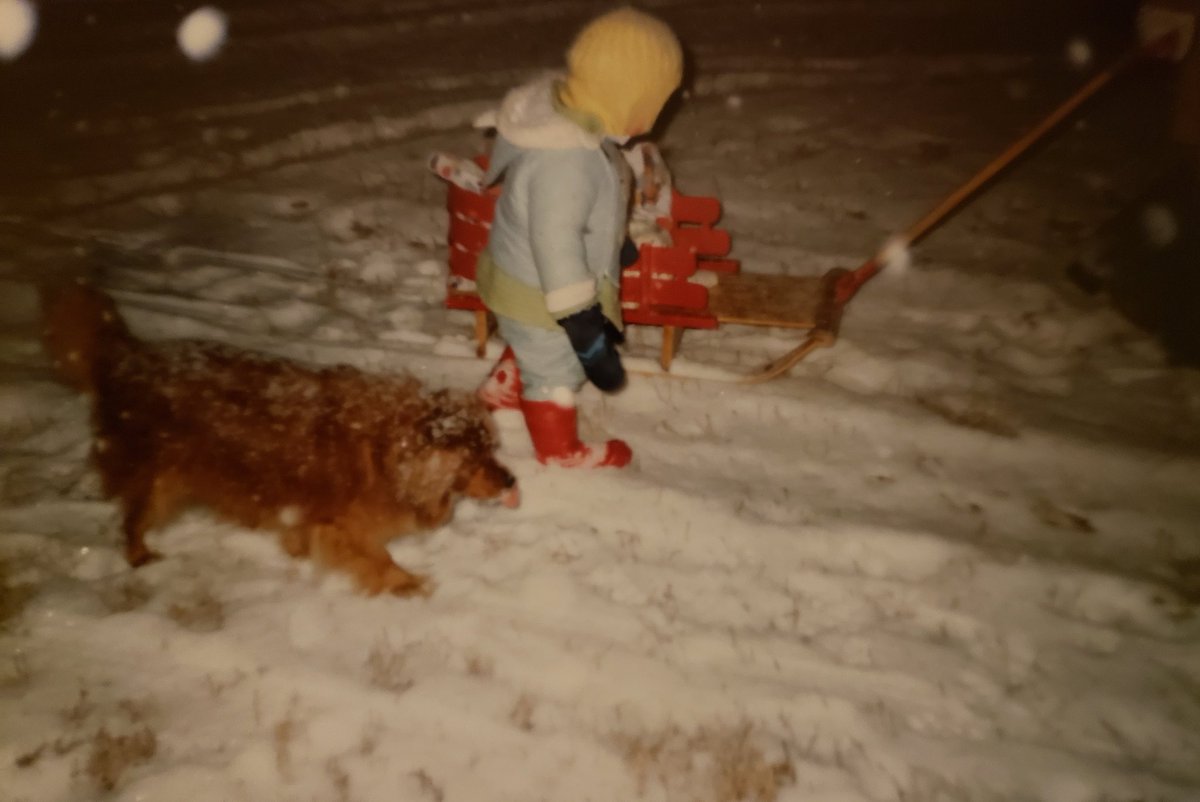 The concept that winter is a dark depressing time to endure, did not exist here. Winter was magic. It was awe. It was full of wonder and beauty.Darkness wasn't scary. It was magical.These nightly walks were total bliss.