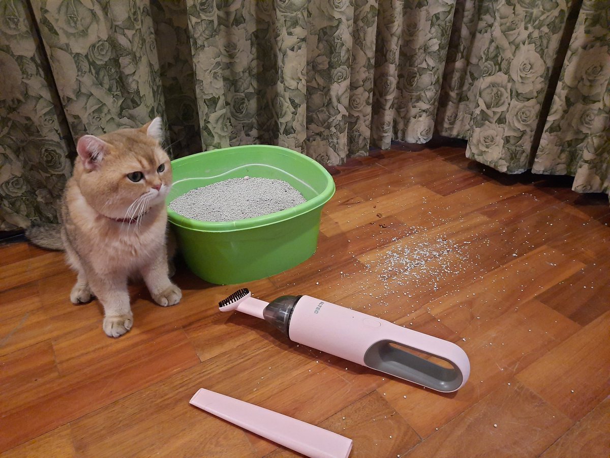 edward10516's tweet image. เครื่องดูดฝุ่นขนาดพกพา ไร้สาย ชาร์จครั้งนึงก็ใช้ได้นานเลย มีหัวต่อให้2แบบ พกพาง่าย เดินทางไกล หมดห่วงเลยเรื่องทรายหกในรถ หรือขนแมวร่วงตามซอกต่างๆ บนที่นอนก็ดูดได้ 
#เครื่องดูดฝุ่น #ALTEC #Topvalue
ใส่โค้ด EDWARD10516 
ลด 5% (ลดสูงสุด 500 บาท) 
- สนใจ
 คลิก bit.ly/39hN0yR