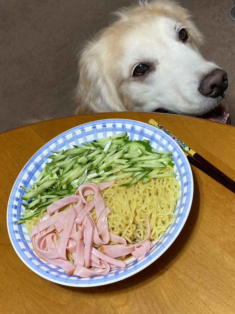 おひとりさまといぬ おひとりさま の お昼ごはん そうめんで十分だったけど 冷し中華があったので たまには変えてみた こんなもんだよね 現実は いただきます
