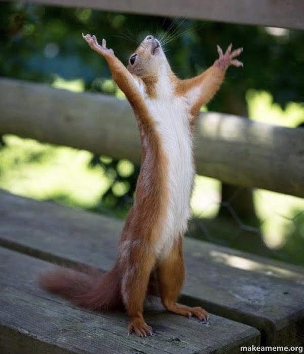What am I supposed to dooo..??