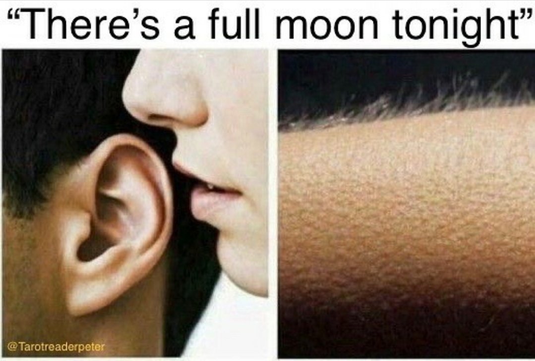 PlanetaryStore's tweet image. 