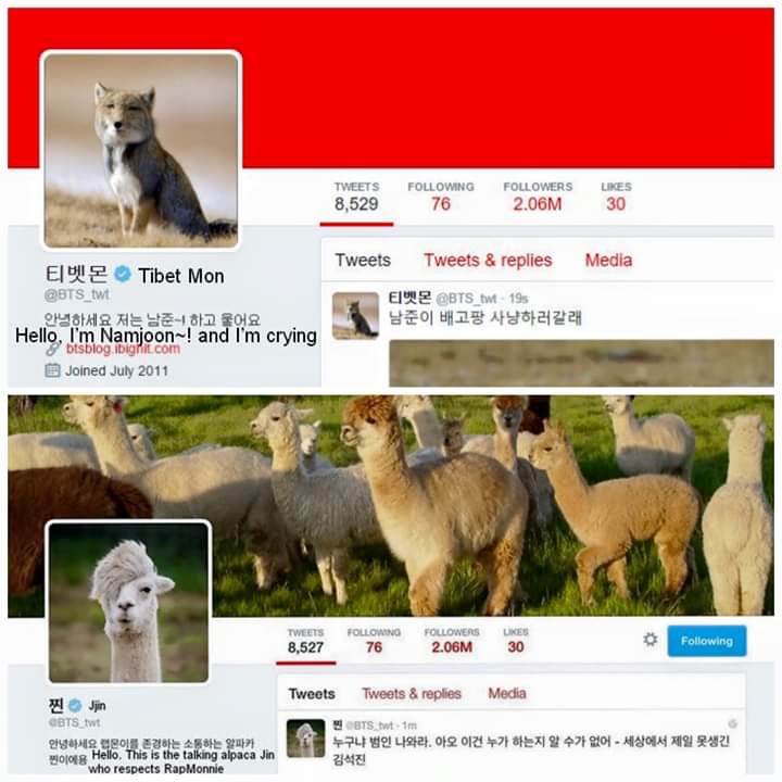 Even more  @BTS_twt twitter layout and profile changes from 2016 April Fools. Jin and Joon. Tibetmon. and All. The. Llamas.