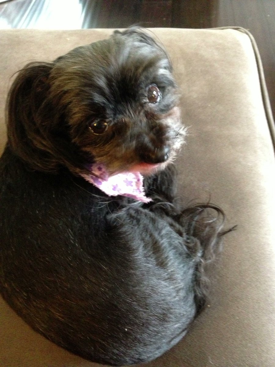 Nick Finck tweet media