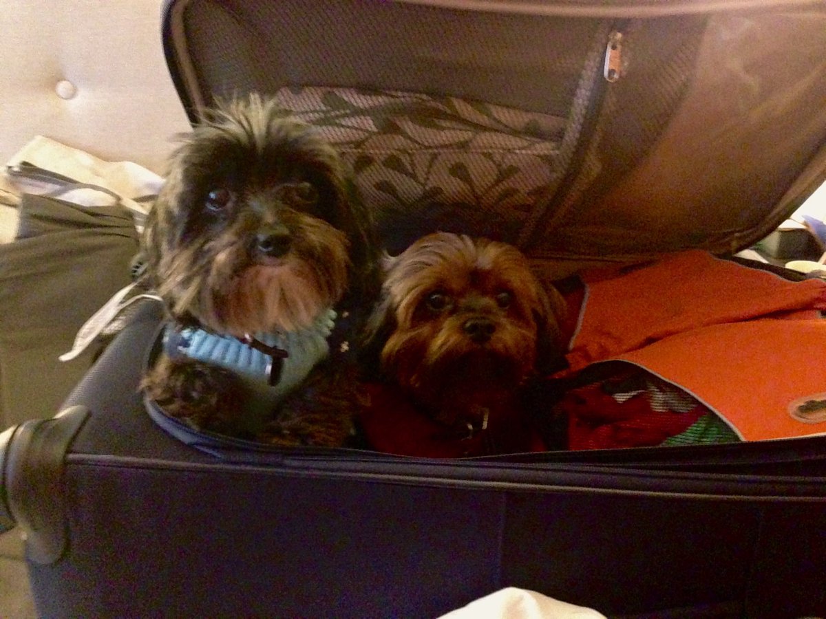 Nick Finck tweet media