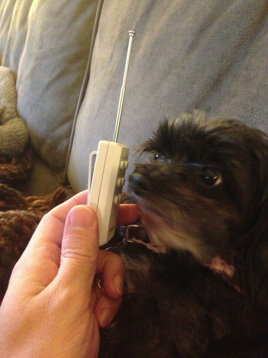 Nick Finck tweet media