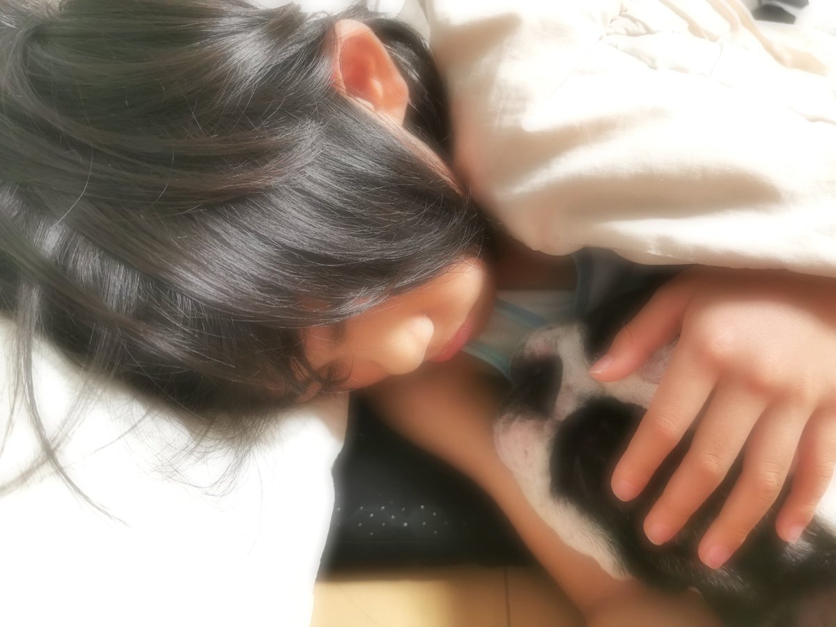 口コミ ex ビスラット アクリア