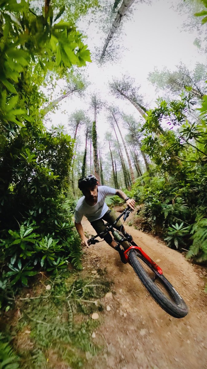 Chopper Fielder tweet media