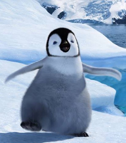 Niall Horan as Penguins from Happy Feet; a thread