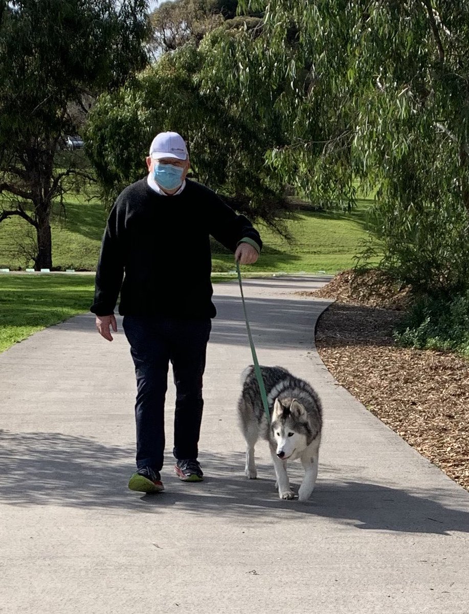 phitchener9's tweet image. Here’s how I’ll be spending my outdoor exercise time today 😁#jasper #walkingmachine #superdog