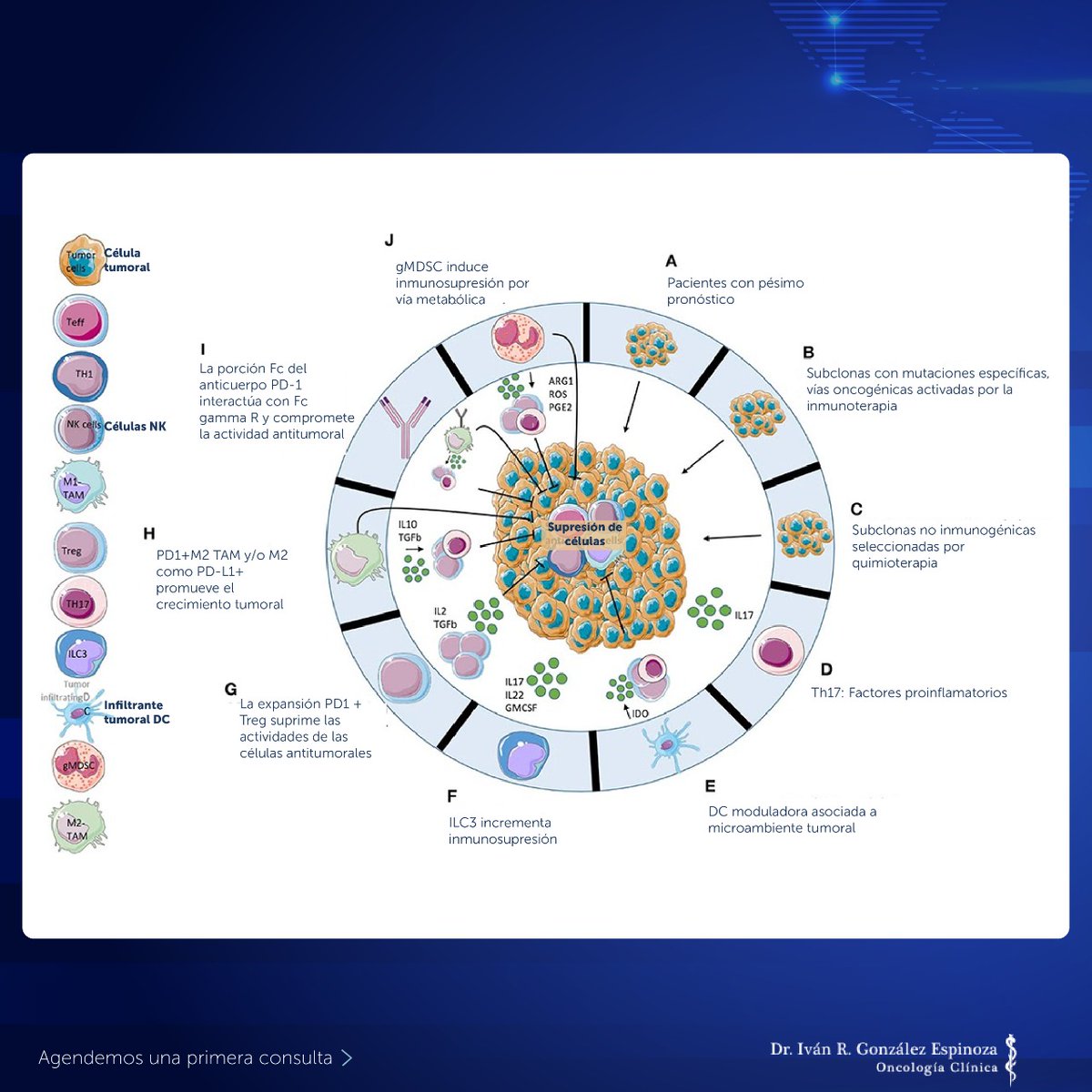 Dr_Ivanoncologo's tweet photo. Les comparto la ¡Onco-noticia de la semana!
¿Tú, qué opinas? 👇🏻Deja tu comentario
#OncoNoticia
How Can #ImmuneCheckpointInhibitors Cause #Hyperprogression in #SolidTumors?
https://t.co/QZgf46D9dj https://t.co/qDIb1gznro