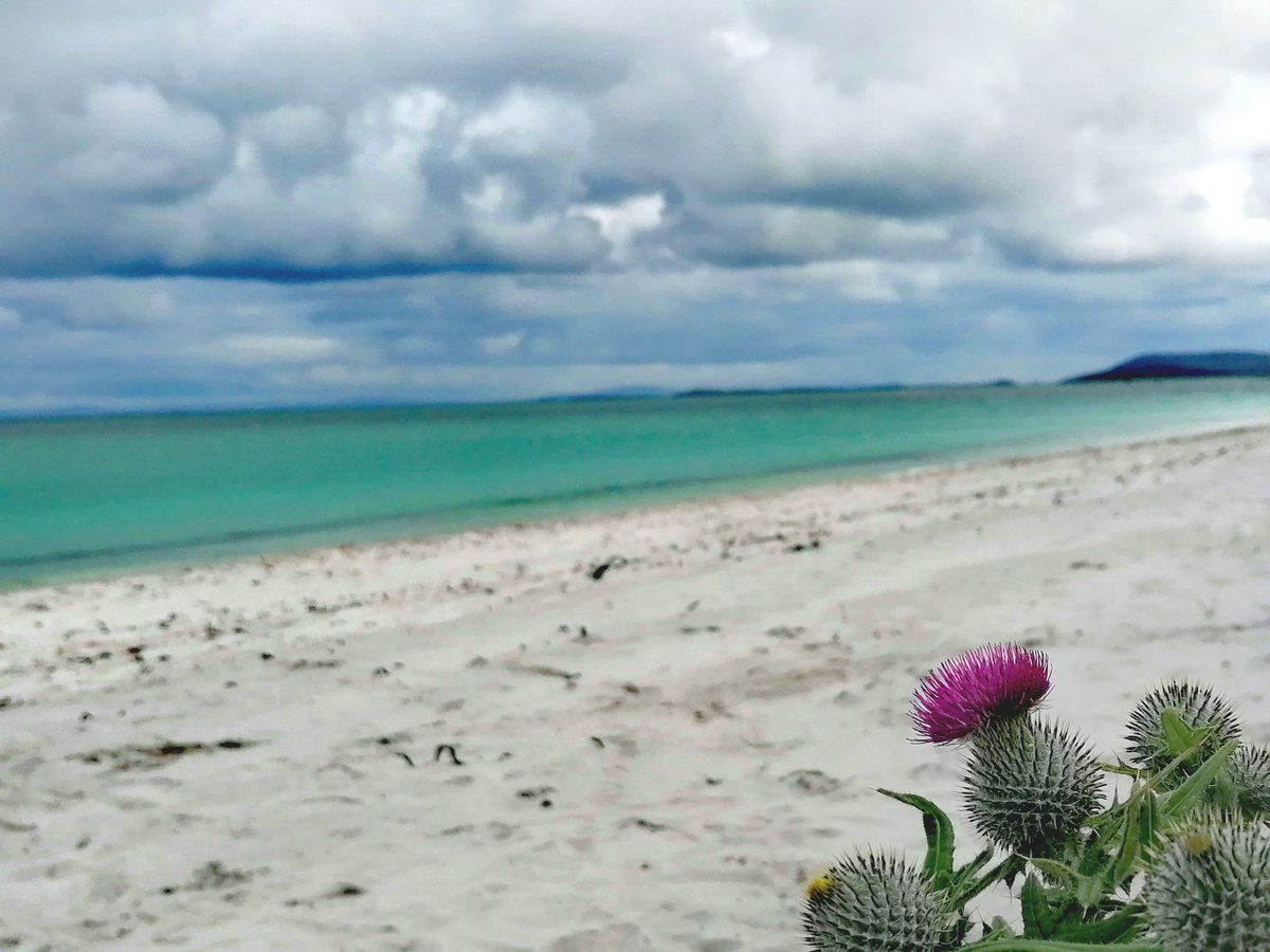 CathrynPark15's tweet photo. #outerhebrides #soundofharris https://t.co/evPNtyVW2e