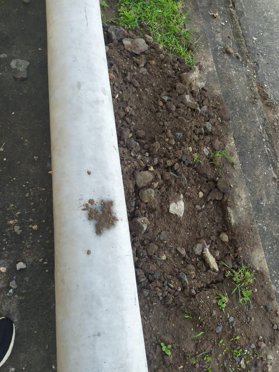 Mas fotos de la contaminacion visual de <a href="/BrisasdelGolf/">𝗕𝗿𝗶𝘀𝗮𝘀 𝗱𝗲𝗹 𝗚𝗼𝗹𝗳</a> . Yo no quiero este adorno en la acera. <a href="/AsepPanama/">ASEP Panamá</a> <a href="/JDVasquezGut/">Juan Diego Vásquez</a> <a href="/ZulayRL/">Zulay Rodríguez Lu</a> @raulpineda8_6 <a href="/hvcarrasquilla/">Héctor Valdés Carrasquilla</a> <a href="/LeandroAvilaPRD/">Leandro Ávila</a> <a href="/musamicontigo/">MusamiContigo</a> <a href="/JCasis25/">JOSE CASIS 🔴 #Panamá 🇵🇦</a> <a href="/DiaaDiaPa/">Diario DiaaDia</a> <a href="/criticaenlinea/">Diario Critica.Pa</a> <a href="/TraficoCPanama/">Tráfico Panamá</a>