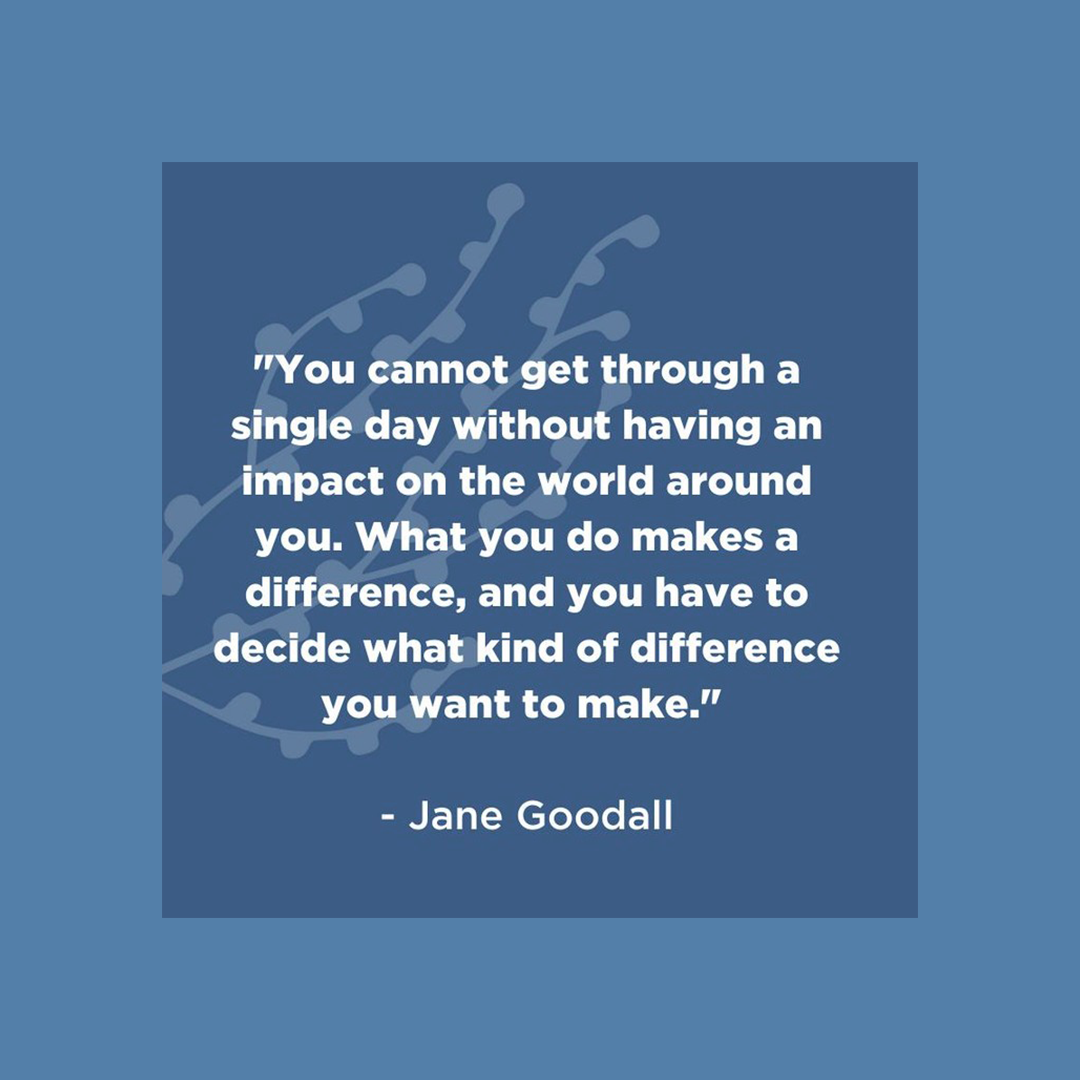 wildplanetfoods's tweet photo. We can all make a difference. It all starts with small changes and smart choices. 📷: @worldoceansday https://t.co/kkQWHFJmZu