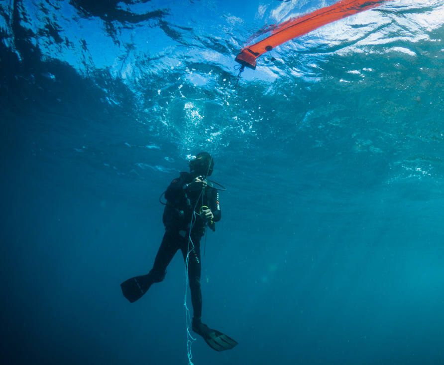 Safety stop in the crystal blue waters of Lembongan and Penida! #Scuba #Diving #ScubaDiving #PADI #SMB #Safety #SafetyStop #Penida #Lembongan #Nusa #Bali #NusaIslands #Indonesia #Explore #Ocean #CrystalClear #BlueWater #Ocean #BlueOcean