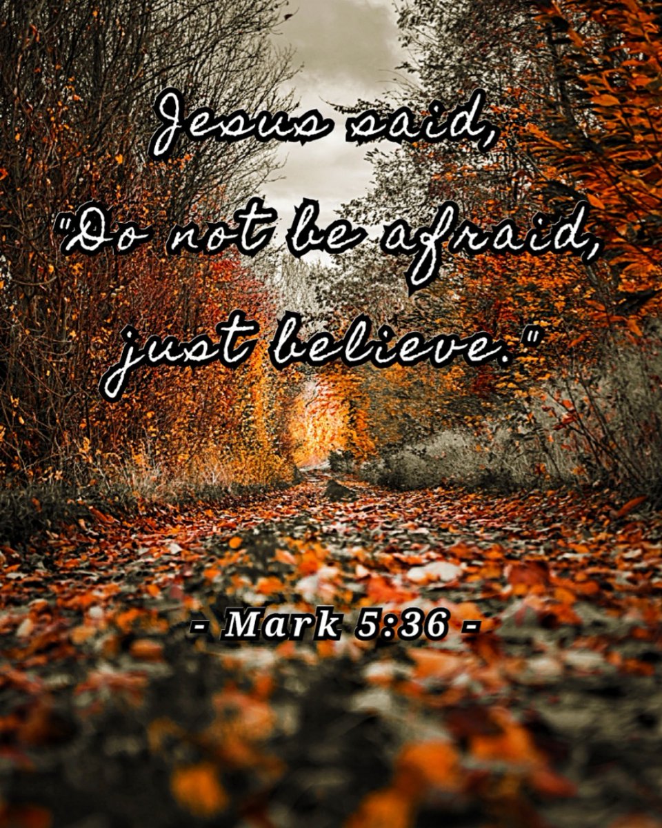 perkedup7's tweet photo. Take courage! Nothing is impossible with God. 💯🙌
#GodIsGreat #GodisAble #Godisallpowerful #MiracleWorkingGod #BeEncouraged #ItsMiracleTime #PerkedUp https://t.co/xxTwuxhhU9