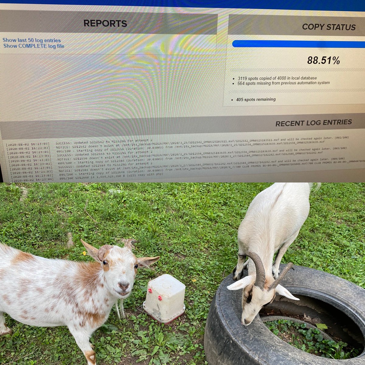 Seth Keever tweet media