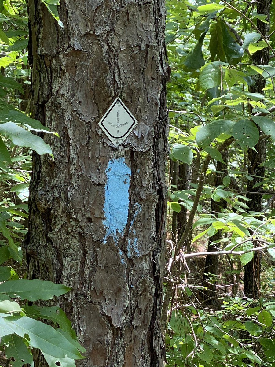 pborders217's tweet photo. Little trail therapy today. #pinhoti https://t.co/SnmsNBLyCe
