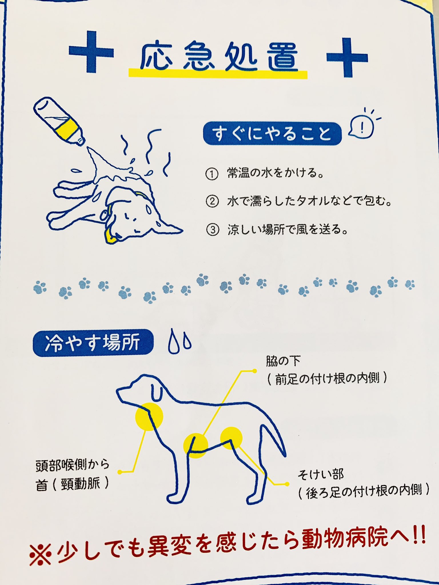 みやうち沙矢 Dog Signal1 5巻発売中 T Co Nubhalmm6h Twitter