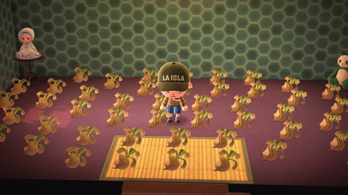 Pro tip: Don't place turnips where you won't see them. #AnimalCrossing #ACNH #NintendoSwitch