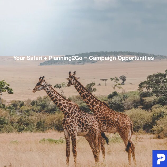 Your Safari + Planning2Go = Campaign Opportunities            #travel #traveling #travelers #travelbug #travelholic #travelgram #travelinggram #travelphotography