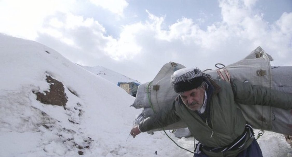 #کولبر_نکشید ترند ايران شده و بيش از  صدهزار بار تويت. اين نشان مي دهد هموطنان نسبت به درد و رنج ساير بخشهاي ايران بي تفاوت نيستند. اگر روشن گري شود، عكس العمل نشان مي دهند. سر نوست همه ما به هم وابسته است. ظلم به يك نفر، ظلم به همه ماست