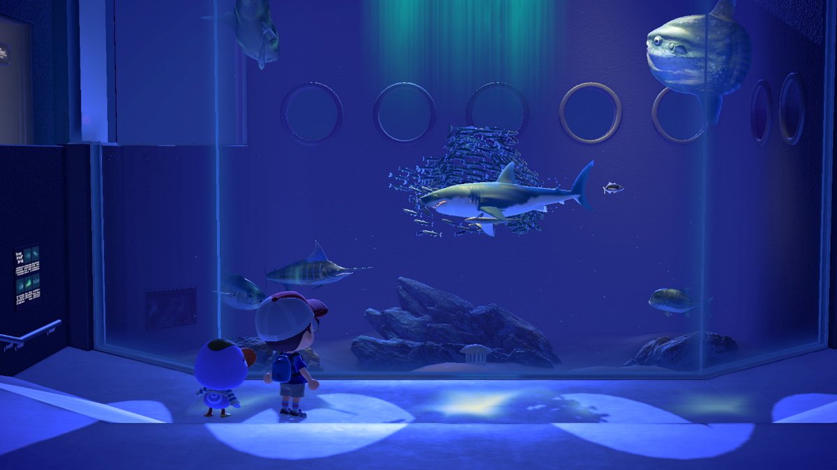 FallRun's tweet image. #AnimalCrossing #ACNH #NintendoSwitch