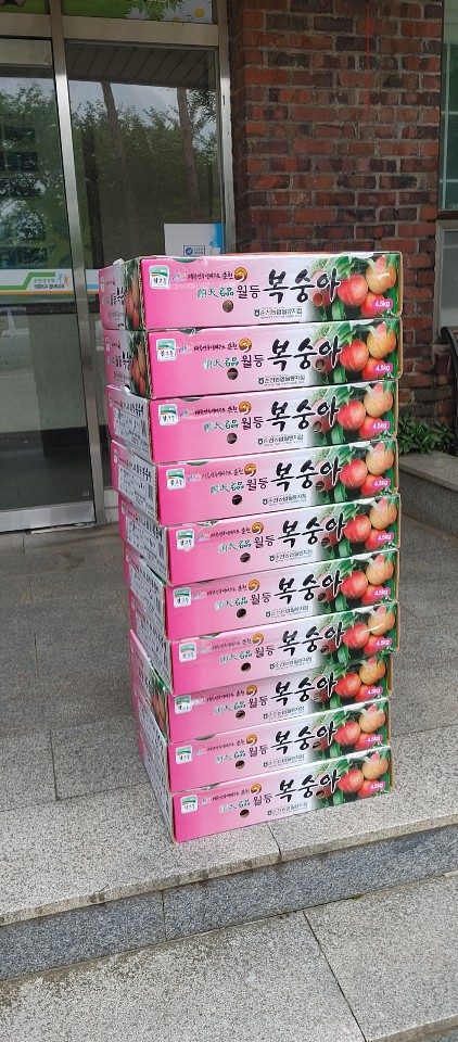 '우리가 살고 있는 세상, 아직 살만한 세상입니다.'

8월 2일(일)에 익명의 후원자님께서 재원 아이들을 위해 전국에서 제일 맛이 좋다는 월등 복숭아 10상자를 후원해주셨습니다.

소중한 후원물품 아이들이 생활하고 있는 집에서 잘 먹을 수 배분하였습니다.

후원자님! 감사합니다.