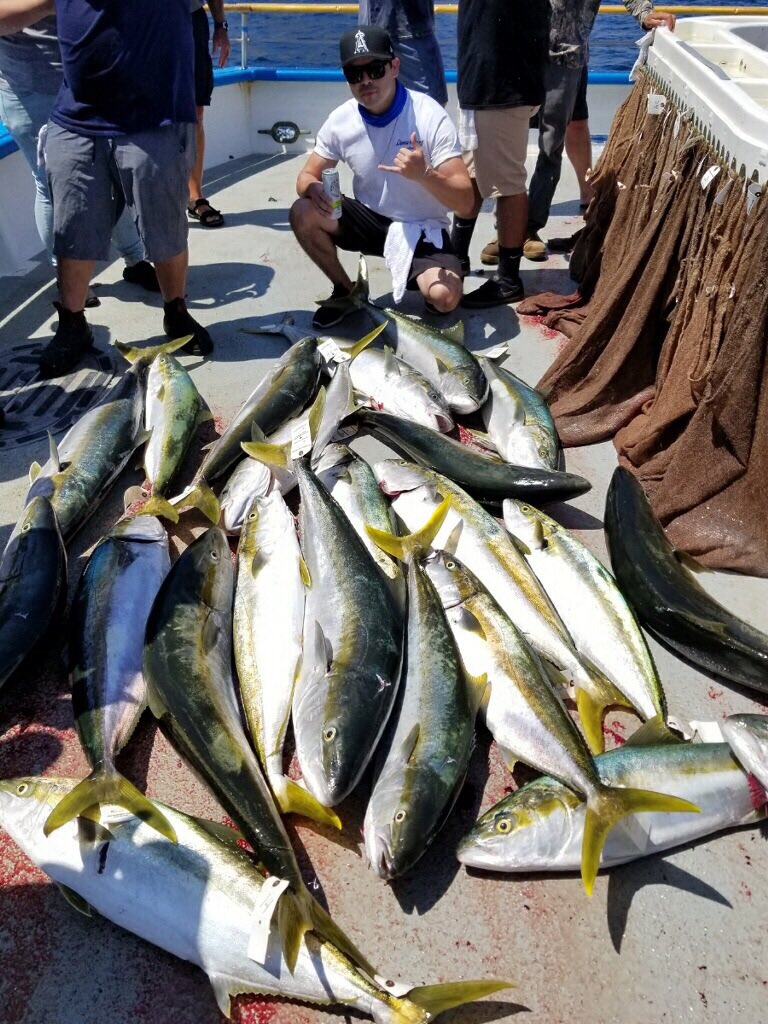 What a damn good trip with my dad. Fish put up a hell of a fight but they didn’t stand a chance! #yellowtail #tuna #danawharf #shimano #fishworks #saltycrew  #bloodydecks #benthepirate