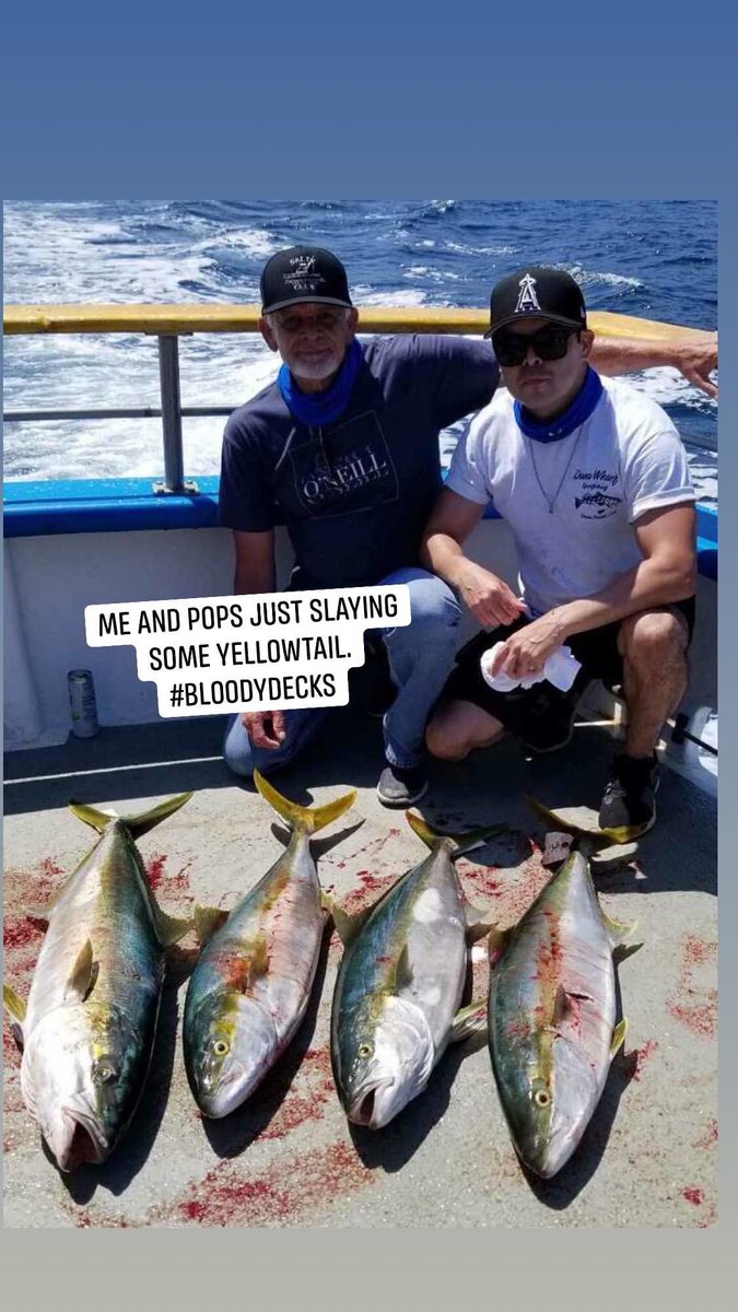 BenThePirate's tweet photo. What a damn good trip with my dad. Fish put up a hell of a fight but they didn’t stand a chance! #yellowtail #tuna #danawharf #shimano #fishworks #saltycrew #bloodydecks #benthepirate https://t.co/l3MfoPl6rf