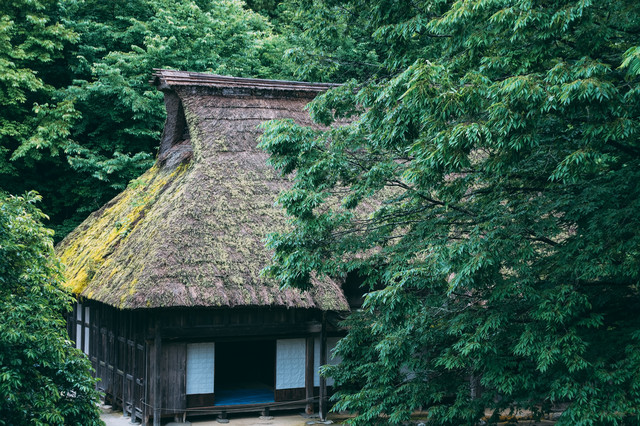 ট ইট র ぱくたそ公式 フリー素材 公園の森の中にある茅葺屋根の家のフリー素材 写真 撮影 Zubotty T Co S8v14cqetr ぱくたそ