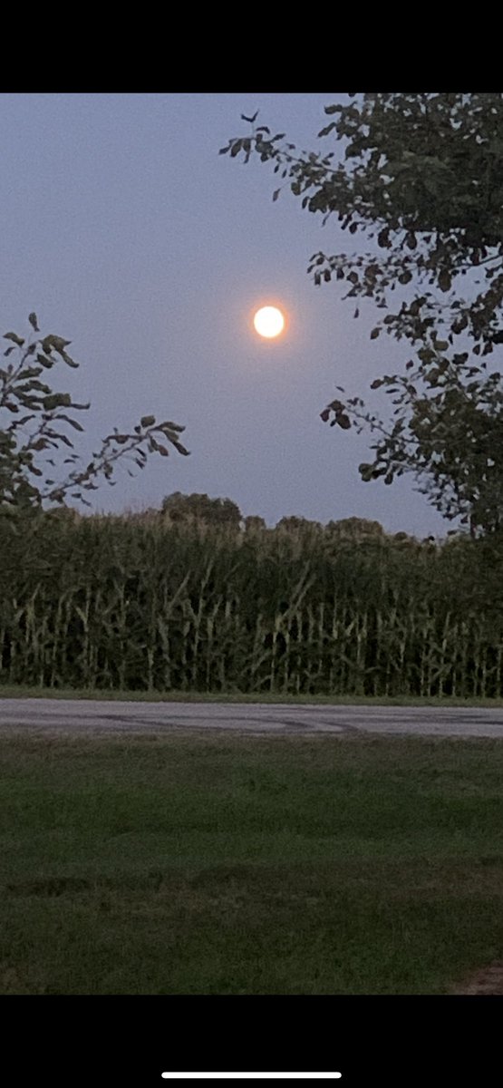 Perfect night to share this moon pic... ⁦⁦⁦<a href="/AdamJacxdad/">Adam Harding</a>⁩ ⁦<a href="/jrkrenzer/">Jason Krenzer</a>⁩ ⁦<a href="/DJ_DarinJohnson/">Darin Johnson</a>⁩ ⁦@matthaynes82⁩