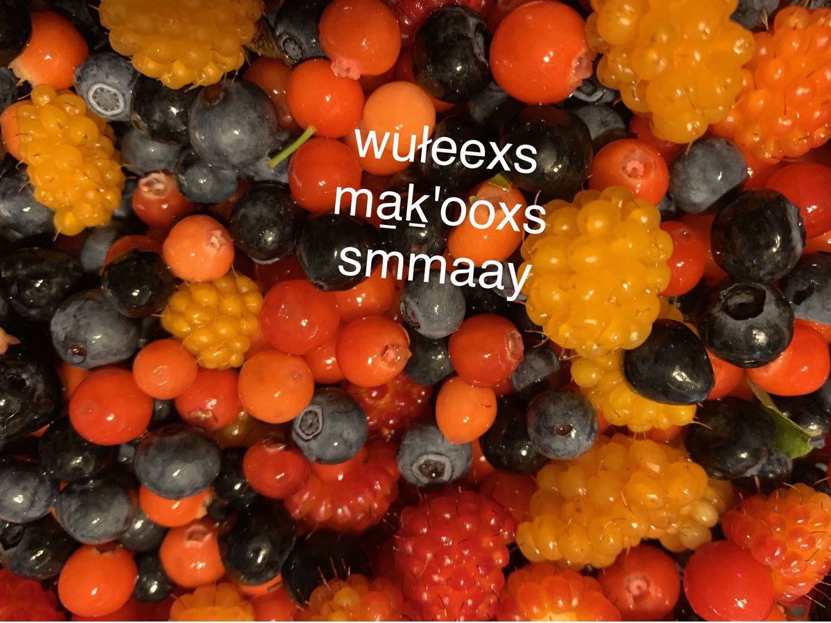 Pam Guno tweet media