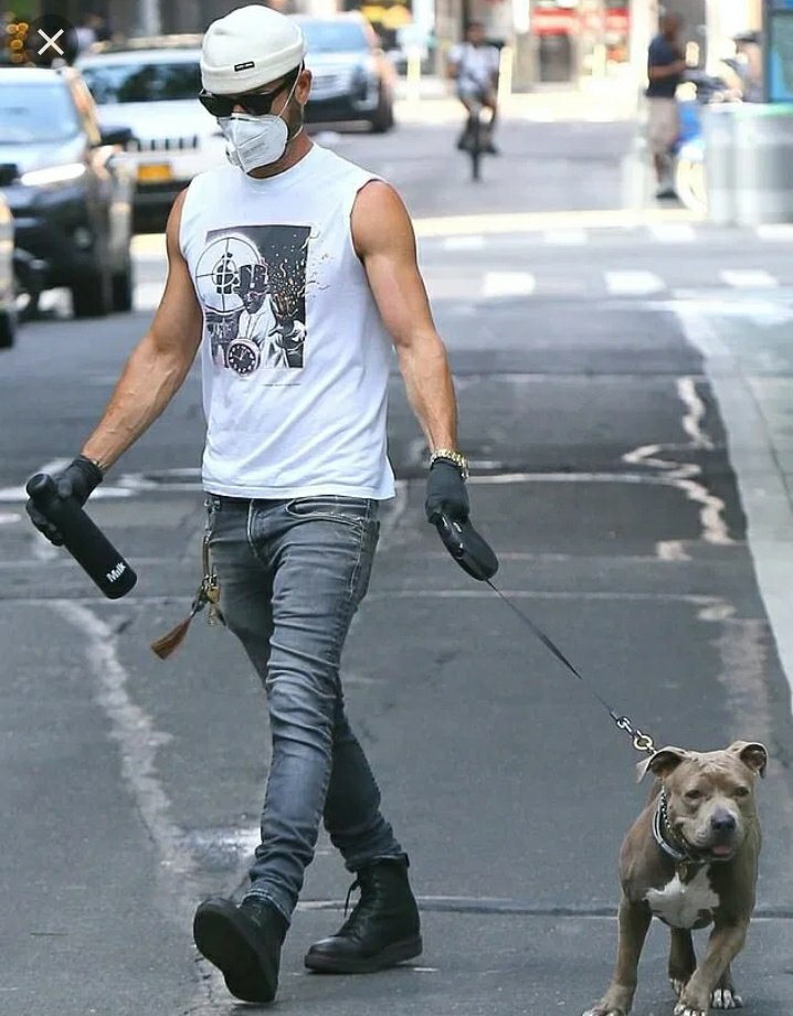 MorganRuble's tweet photo. @AXfromMN Does #Hotmenwithdogs usually but I have to point out that Justin Theroux walking his pit in a mask and black latex gloves has to be somebody's kink. @therealSnicks @sloancrawfordtx @EdKenne16462742 @cmr_2 @allanj69 https://t.co/pXTZT3vNFK