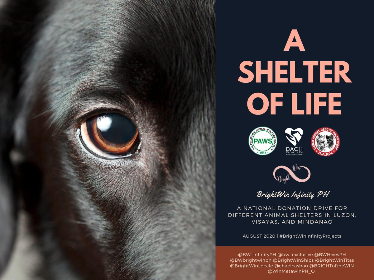 BW_InfinityPH's tweet photo. BW Infinity and 8 other BrightWin FC and enthusiasts united to initiate "A Shelter of Life" which aims to give financial support to PAWS, BACH, and DARV, which are animal shelters located in Manila, Bacolod, and Davao respectively. #BrightWinInfinityProjects https://t.co/jRBVxIjjTL