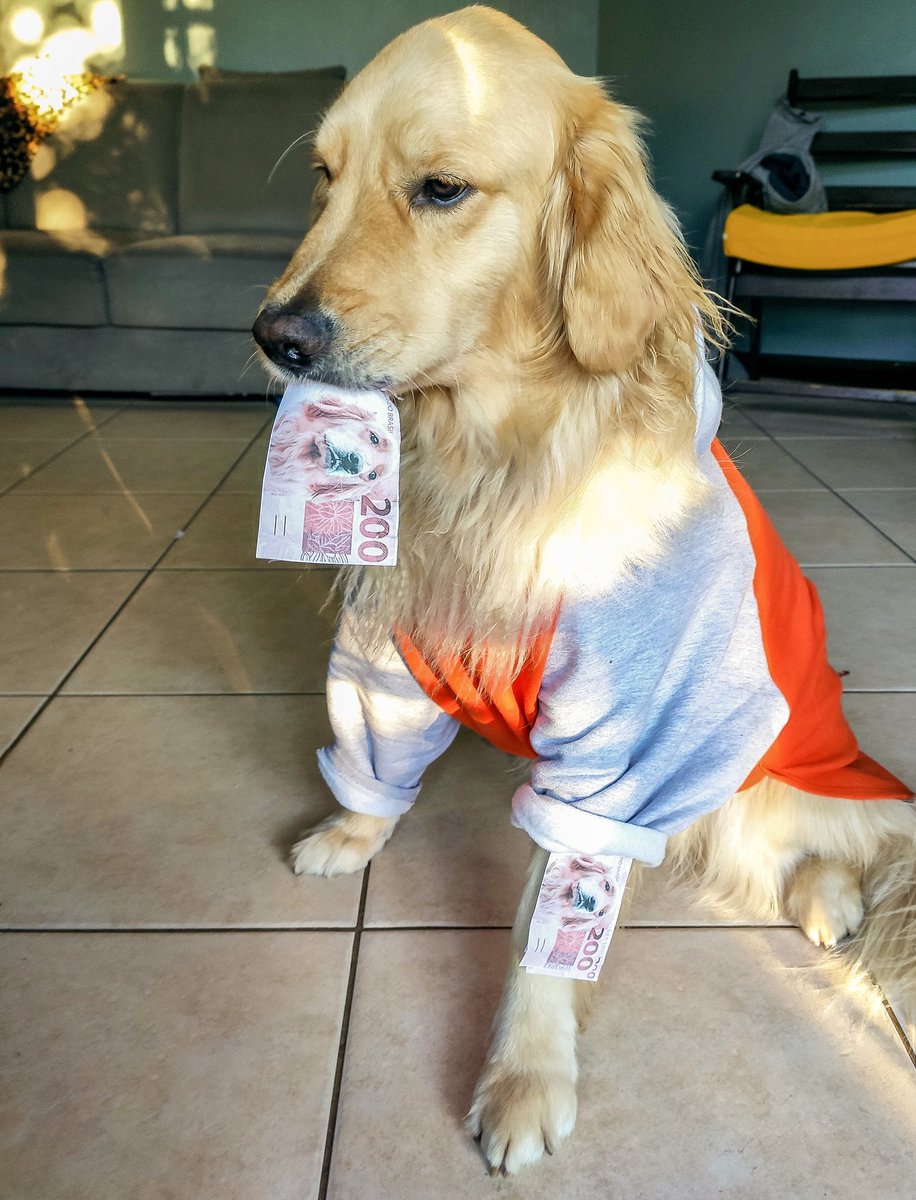 Cheguei pessoal e passando para avisar! TO CHEIO DA GRANA!