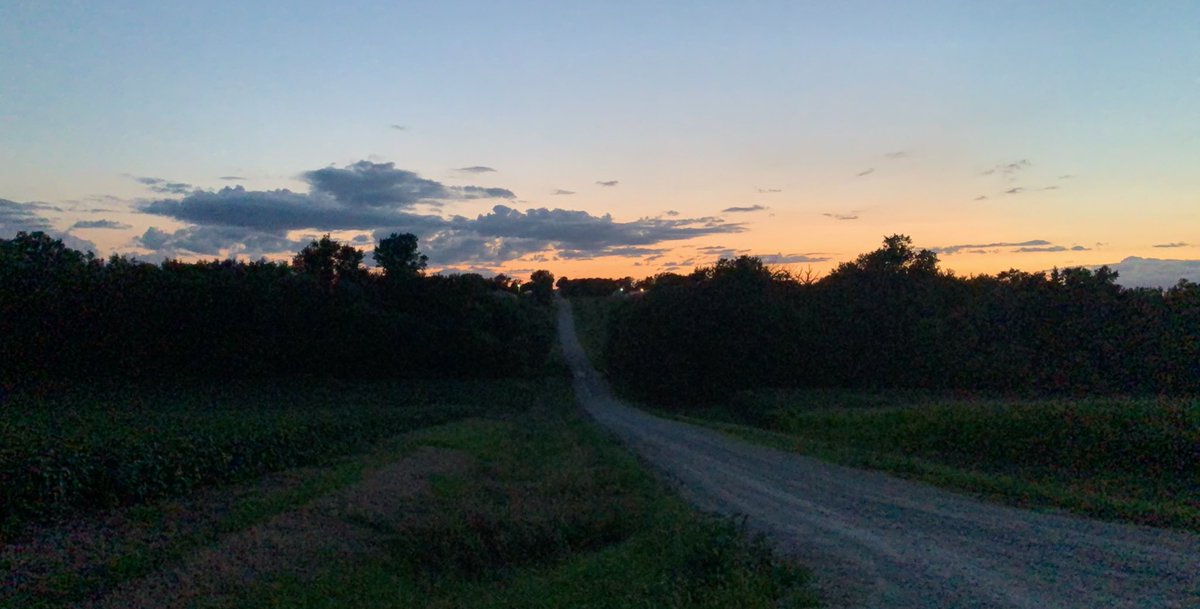 Sydney_Milani's tweet photo. I loooooove night workouts on the farm. Soaking it in before I leave for Bama in a week #BitterSweet #RunForBama #RollTide https://t.co/1fSG4p1H9r