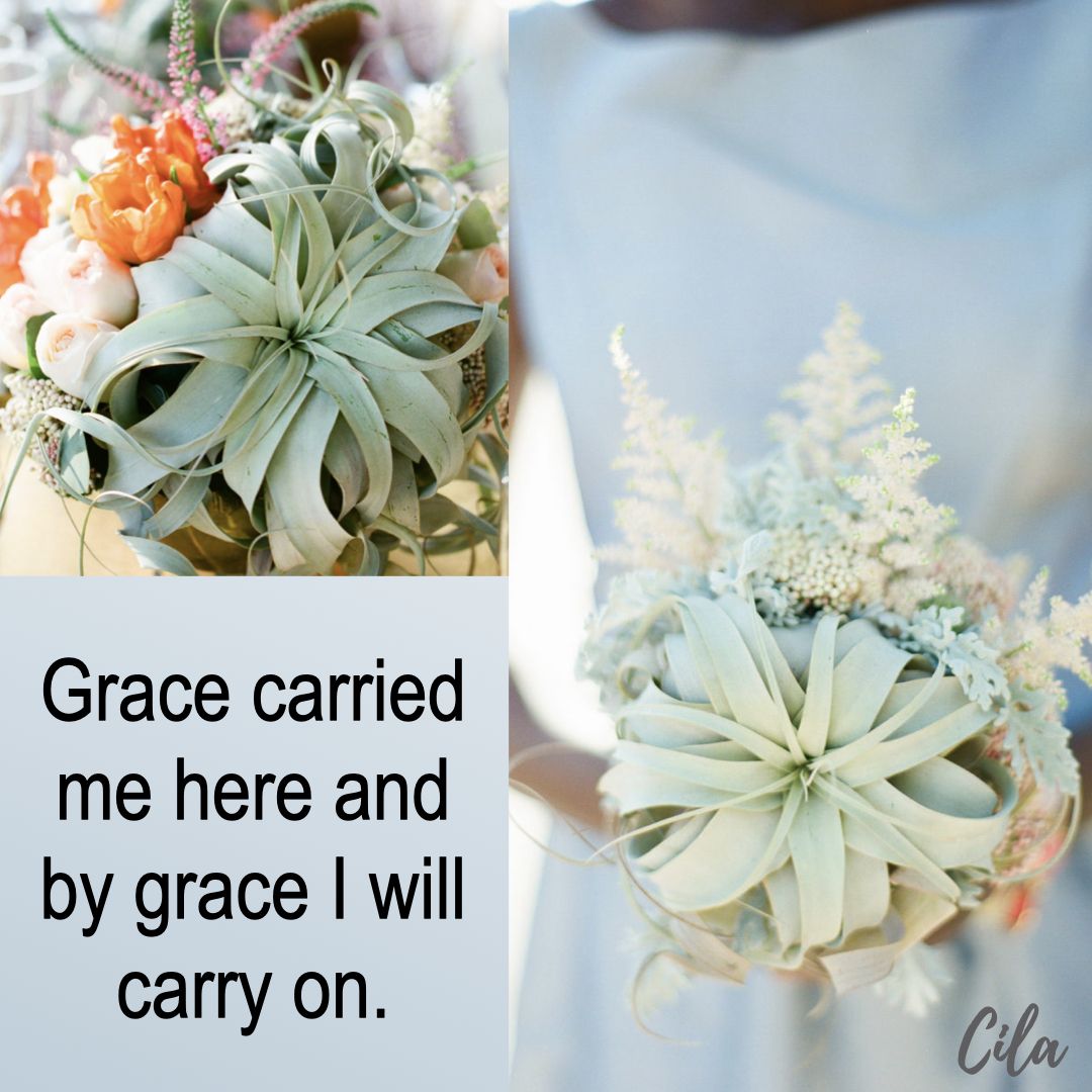 QuotesHappiest's tweet photo. Cila
Happiest Quotes - https://t.co/uQlttluKpR https://t.co/8syCG8EArQ
