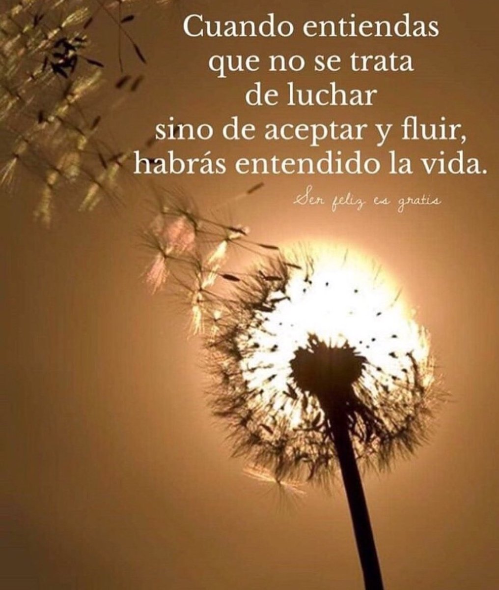 BenavidesAldana's tweet photo. ...la vida es para aprender, ser feliz en el proceso de ensayo, pruebas, fallas y logros...😉😙🤗 https://t.co/sxJEyWIB1V
